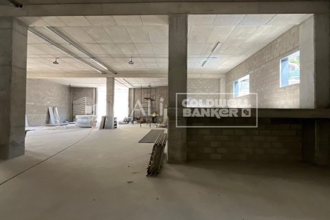 310 m² commercial property à louer à Principado De Andorra (Ninguna Poblacion Tiene C.P.), Lleida, Catalonia, Spain № 6109 - photo 19