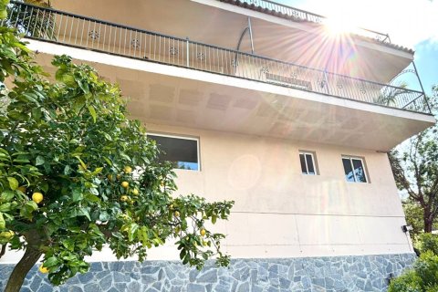 5 bedrooms house for sale in Argentona, Barcelona, Catalonia, Spain № 7545 - photo 28