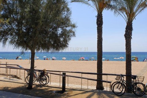 land plot for sale in Malgrat de Mar, Barcelona, Catalonia, Spain № 6858 - photo 14
