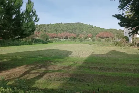 land plot for sale in Malgrat de Mar, Barcelona, Catalonia, Spain № 6858 - photo 9