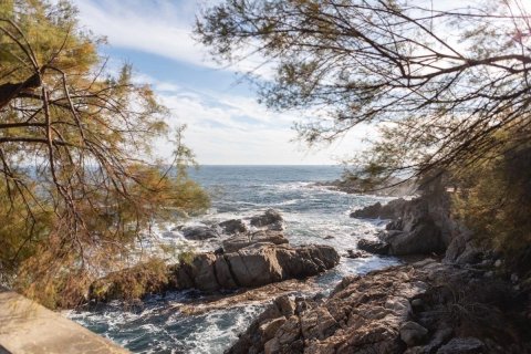 Купить дом в С'Агаро, Испания с 5 комнат, 2265м², № 1390 - фото 10