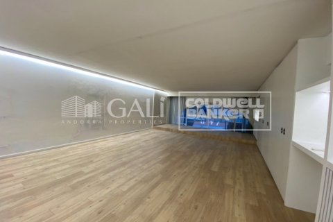 Офис студия в Принципате Андорре , Лерида, Каталония, Испания № 5491