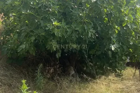 land plot for sale in Polinya, Barcelona, Catalonia, Spain № 6958 - photo 5