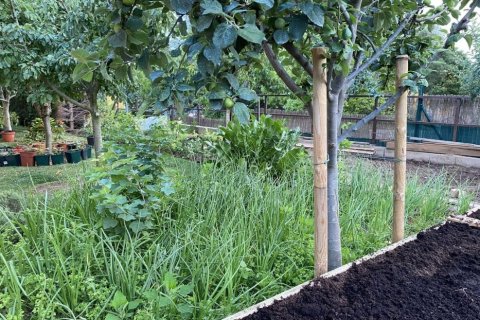 Купить виллу в Сан-Андреу-де-Льяванерес, Испания с 3 спальни, 350м², № 925 - фото 13