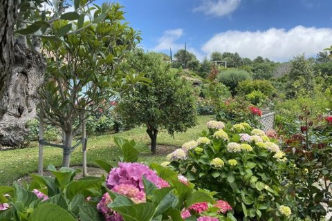 Купить виллу в Сан-Андреу-де-Льяванерес, Испания с 3 спальни, 350м², № 925 - фото 9