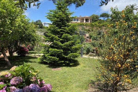 Купить виллу в Сан-Андреу-де-Льяванерес, Испания с 3 спальни, 350м², № 925 - фото 11