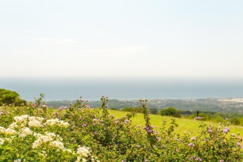 Купить дом в Сан-Андреу-де-Льяванерес, Испания с 9 комнат, № 1370 - фото 11