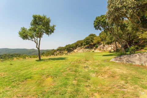 Купить дом в Сан-Андреу-де-Льяванерес, Испания с 9 комнат, № 1370 - фото 9