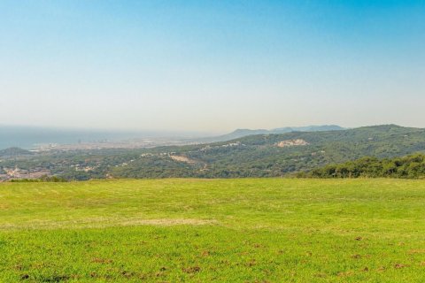 Купить дом в Сан-Андреу-де-Льяванерес, Испания с 9 комнат, № 1370 - фото 13