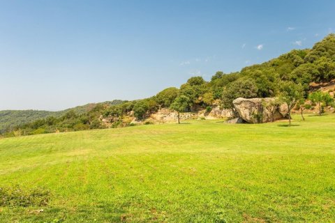 Купить дом в Сан-Андреу-де-Льяванерес, Испания с 9 комнат, № 1370 - фото 12