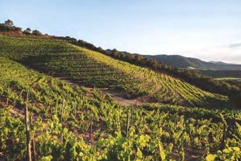 Купить квартиру в Барселона, Испания с 2 спальни, 110м², № 1783 - фото 4