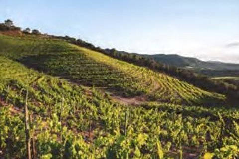 Купить квартиру в Барселона, Испания с 2 спальни, 200м², № 1785 - фото 4