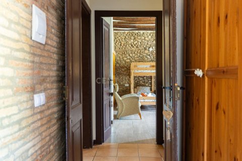 11 bedrooms house for sale in Piera, Barcelona, Catalonia, Spain № 7648 - photo 24