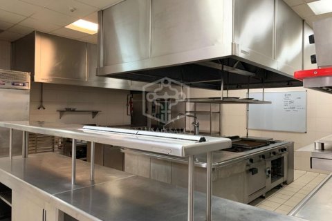 12 chambres commercial property à vendre à Barcelona, Catalonia, Spain № 918 - photo 18