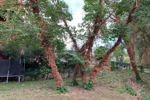 12 chambres commercial property à vendre à Barcelona, Catalonia, Spain № 918 - photo 25