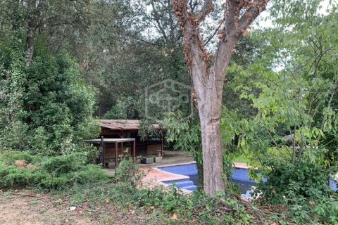 12 chambres commercial property à vendre à Barcelona, Catalonia, Spain № 918 - photo 23