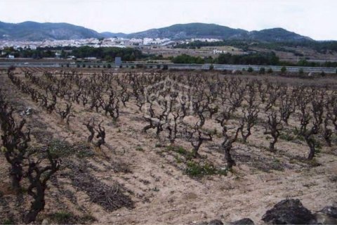 Купить дом в Ситжес, Испания с 15 спален, 1400м², № 913 - фото 22