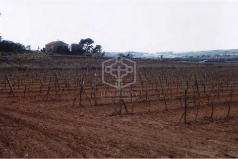 Купить дом в Ситжес, Испания с 15 спален, 1400м², № 913 - фото 21