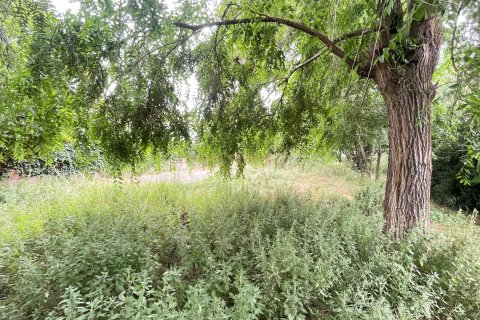 land plot for sale in Premia De Mar, Barcelona, Catalonia, Spain № 7299 - photo 4