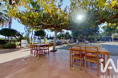 Купить дом в Рода де Бера, Испания с 2 спальни, 349м², № 4729 - фото 21