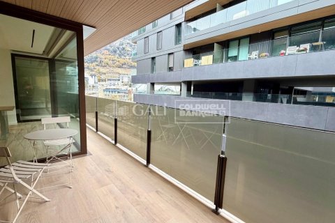 3 bedrooms apartment for sale in Principado De Andorra (Ninguna Poblacion Tiene C.P.), Lleida, Catalonia, Spain № 5449 - photo 8