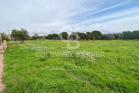 Купить земельный участок в Пералада, Испания 2929м², № 5733 - фото 2