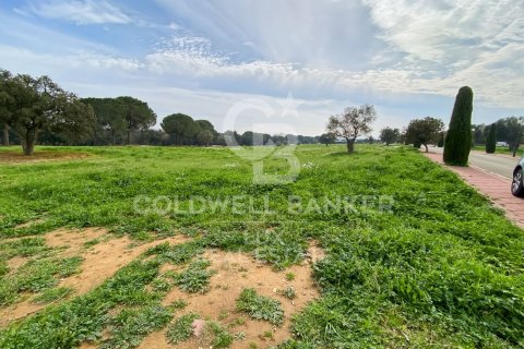 Купить земельный участок в Пералада, Испания 2929м², № 5733 - фото 6