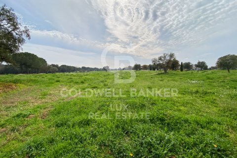 Купить земельный участок в Пералада, Испания 2929м², № 5733 - фото 5