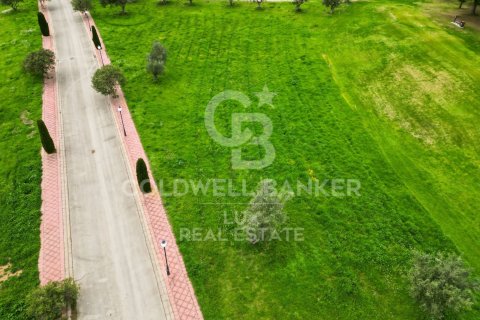 Купить земельный участок в Пералада, Испания 3226м², № 5734 - фото 4