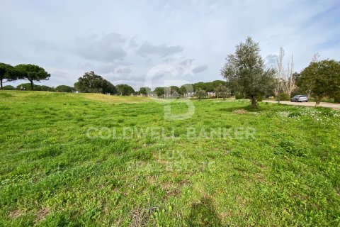 Купить земельный участок в Пералада, Испания 3226м², № 5734 - фото 7