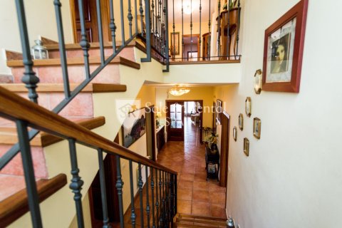 5 bedrooms house for sale in Blanes, Girona, Catalonia, Spain № 6728 - photo 18