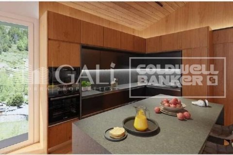 3 bedrooms house for sale in Principado De Andorra (Ninguna Poblacion Tiene C.P.), Lleida, Catalonia, Spain № 5575 - photo 13