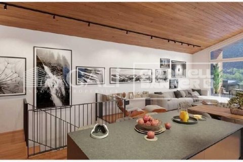 3 bedrooms house for sale in Principado De Andorra (Ninguna Poblacion Tiene C.P.), Lleida, Catalonia, Spain № 5575 - photo 12