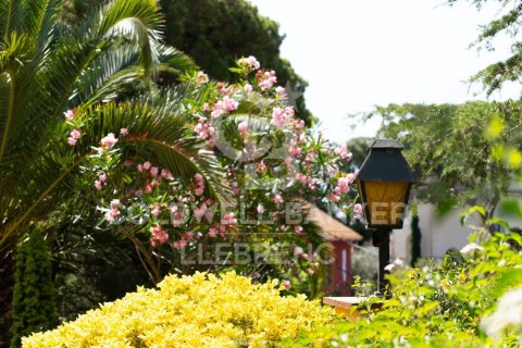 5 chambres triplex à vendre à Barcelona, Catalonia, Spain № 5871 - photo 24