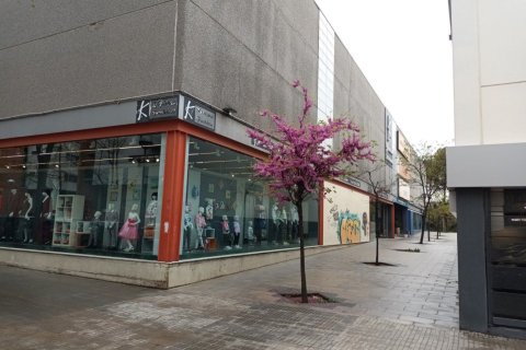 Коммерческая недвижимость 493м² в Молле-дель-Вальесе, Барселона, Каталония, Испания № 2331