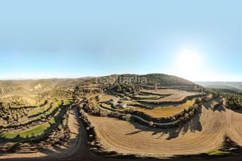 Купить дом в Барселона, Испания с 7 спален, 1300м², № 2333 - фото 19