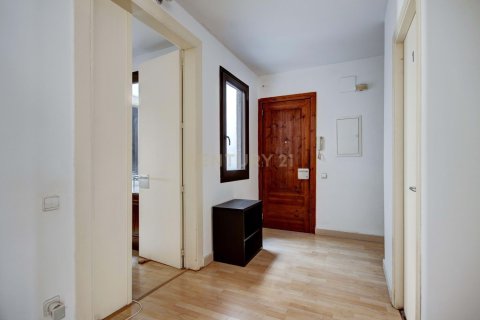 Купить квартиру в Старый город, Барселона, Испания с 8 спален, 240м², № 2335 - фото 2