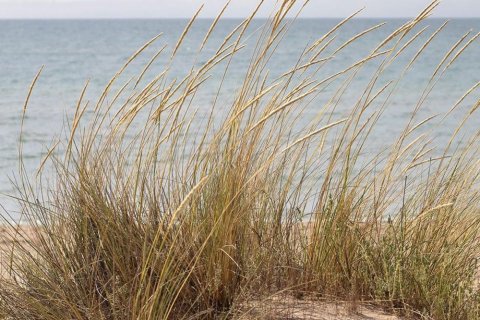 3 bedrooms apartment for sale in Gava, Barcelona, Catalonia, Spain № 6616 - photo 18