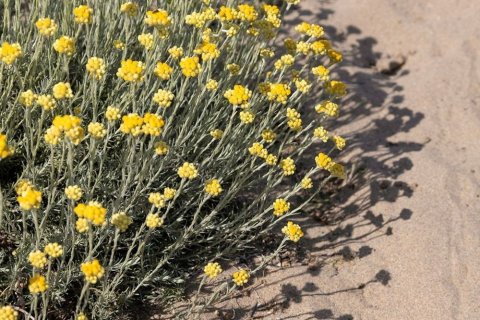 3 bedrooms apartment for sale in Gava, Barcelona, Catalonia, Spain № 6616 - photo 17