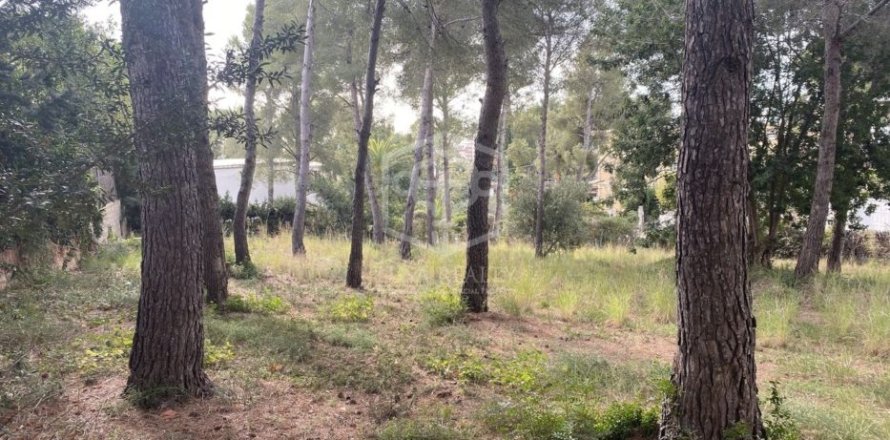 Земельный участок в Калафелле, Таррагона, Каталония, Испания № 950