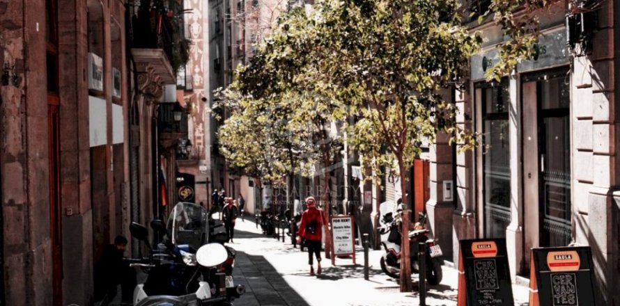 365 m² commercial property à vendre à Barcelona, Catalonia, Spain № 953