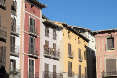 Коммерческая недвижимость с 19 спальнями в Барселоне, Каталония, Испания № 1024