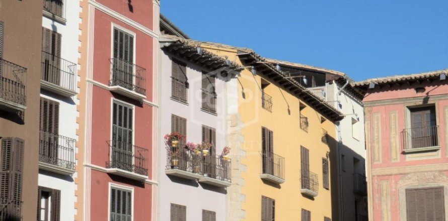 Коммерческая недвижимость с 19 спальнями в Барселоне, Каталония, Испания № 1024