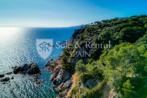 Купить дом в Льорет-де-Мар, Испания с 1 спальня, 743м², № 6785 - фото 26