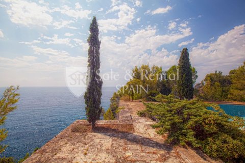 Купить дом в Льорет-де-Мар, Испания с 1 спальня, 743м², № 6785 - фото 5