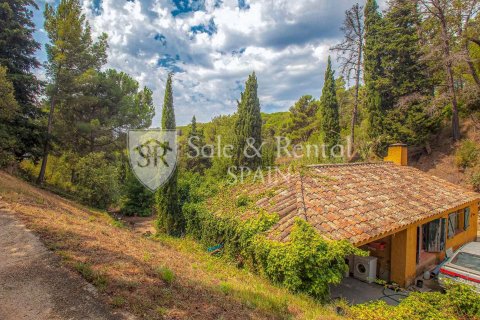 Купить дом в Льорет-де-Мар, Испания с 1 спальня, 743м², № 6785 - фото 11