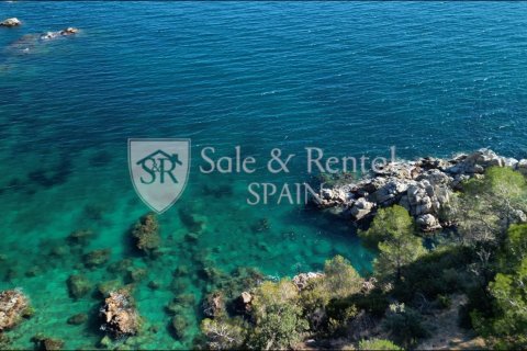 Купить дом в Льорет-де-Мар, Испания с 1 спальня, 743м², № 6785 - фото 25