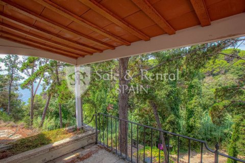 Купить дом в Льорет-де-Мар, Испания с 1 спальня, 743м², № 6785 - фото 10