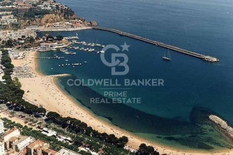 Купить земельный участок в Сант-Фелиу-де-Гиксолс, Испания 2522м², № 6063 - фото 5