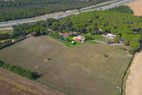 Купить виллу в Кальдес-де-Малавелья, Испания с 6 спален, 3000м², № 960 - фото 4